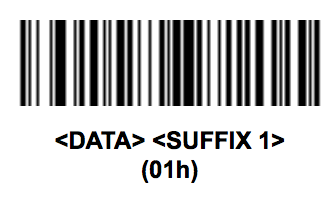 data suffix 1